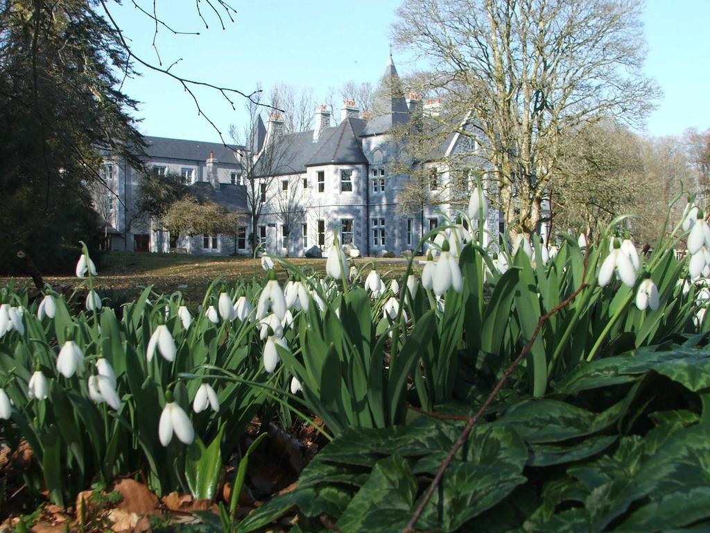 Mount Falcon Estate Ballina  Zewnętrze zdjęcie