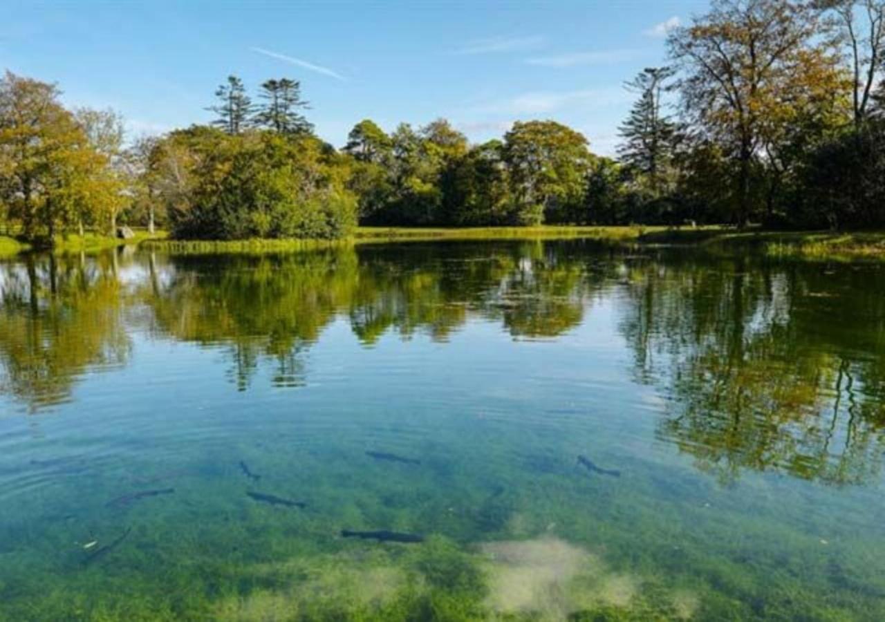 Mount Falcon Estate Ballina  Zewnętrze zdjęcie